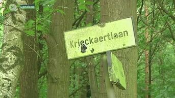 Buurtbewoners boos over verwaarlozing recreatiedomein Krieckaert in Lanaken