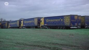Opglabbeekse boer bewaakt 300 Hongaarse vrachtwagens