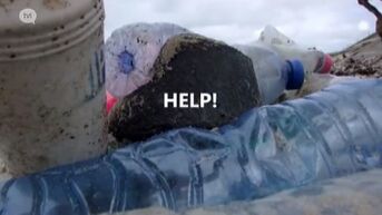 Filmpje van afvalkunstenaar Toon Eerdekens druk bekeken