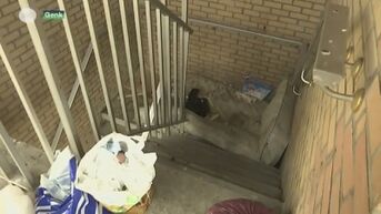 Half jaar na spraakmakende reportage op TVL wonen Genkse appartementbewoners nog altijd in vuilnisbelt