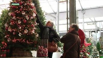 Rush op kerstbomen is begonnen