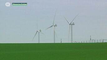 Milieuvergunning goedgekeurd voor nieuw windturbinepark in Maasmechelen