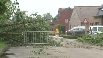 Storm richt voor 11 miljoen euro schade aan in Wellen