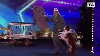 Tongerse en hond scoren in 'Britain's got talent'