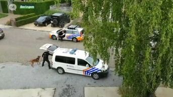 Politie houdt klopjacht naar 20 gevluchte illegalen in Beringen