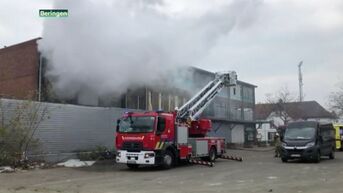 Verdachte opgepakt van brandstichting in Beringen
