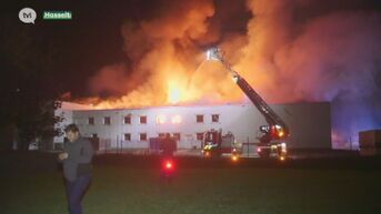 Uitslaande brand verwoest bedrijfshal in Hasselt