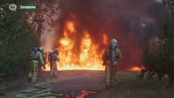 Uitslaande brand op perenplantage in Tongeren