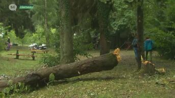 Genks danskamp zwaar getroffen door mini-tornado in Luik