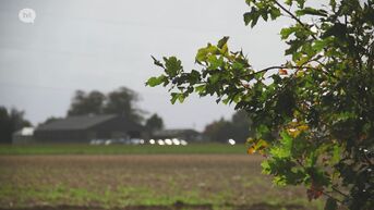 Peilgestuurde drainage
