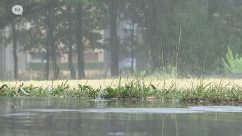 Ondanks regen blijven droogtemaatregelen van kracht