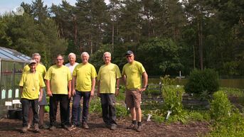 IN DE BUURT-  Ecotuinieren in Opglabbeek