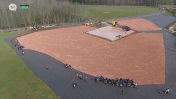 Kunstwerk van 3 miljoen euro van Koen Vanmechelen wordt afgebroken voor bedreigde salamander