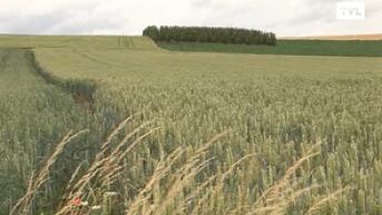 1,4 miljoen euro voor 7 Limburgse plattelandsgemeenten