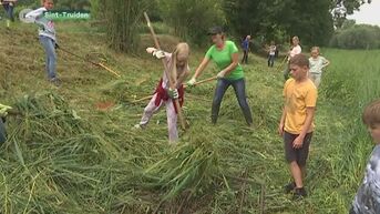 Truiense leerlingen zetten zich voor bescherming graslanden