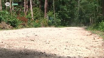 Natuur en Bos start met opruimen van breekpuin in Schoonbeekse Bossen