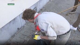 Hasselt verkleint percelen voor onkruidbeheer door verenigingen