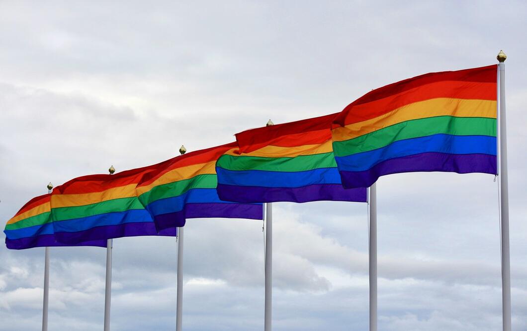 13 EU-lidstaten veroordelen antihomowetgeving in Hongarije ...
