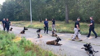 PLOT organiseert groepstraining met hondenteams van Amerikaanse & Limburgse Politie