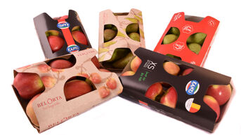 Productomzet BelOrta divisie fruit Borgloon, eerder normaal