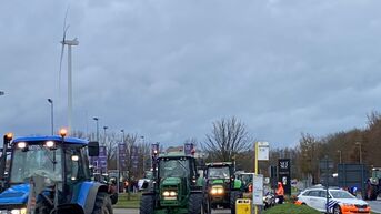 Honderden boze boeren rijden in stoet van tractoren in kleine ring in Hasselt