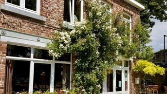 Kroningsgeveltuintjes brengen sfeer in Tongeren