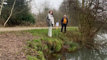Oevers van Paalse Plas in Beringen worden verstevigd