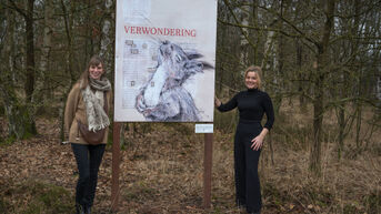 Kunstenares DOiNK verbergt vijf gedichten in Zonhovense natuur