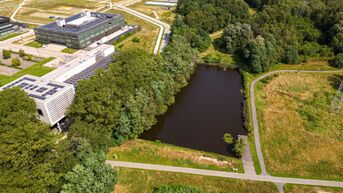Haalbaarheidsonderzoek naar vrije zwemzone in Genk