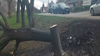 Passagier in Porsche met dronken bestuurder komt om in brandende auto