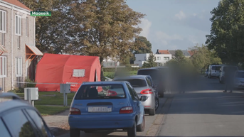 37-jarige man die vriend in Maaseik vermoordde moet niet naar assisen