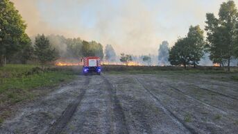 Zware bosbrand aan Mechelse Heide in Maasmechelen: rookpluim tot ver te zien