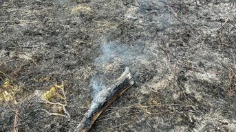 Heidebrand in As en Maasmechelen onder controle, geurhinder blijft aanhouden