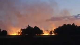 UPDATE. Bosbrand Mechelse Heide geraakt moeilijk onder controle: beelden tonen hoe ernstig de situatie is