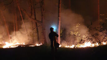 Twee hectare natuur afgebrand in Leopoldsburg
