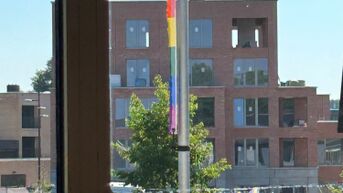 Onbekenden vernielen regenboogvlag in Zonhoven