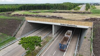 Ecoduct Waaltjesbos opent aan Nationaal Park Bosland