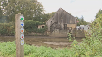 Stad Genk investeert 200.000 euro in renovatie Slagmolen