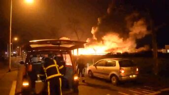 Verdachte Limburgse havenbrand opgepakt