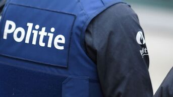3 inspecteurs gewond bij arrestatie van winkeldief in Houthalen-Helchteren