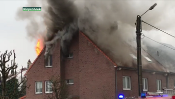 Uitslaande brand in appartementsgebouw in Diepenbeek