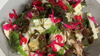 Salade van hoevekip, koolrabi en dragon